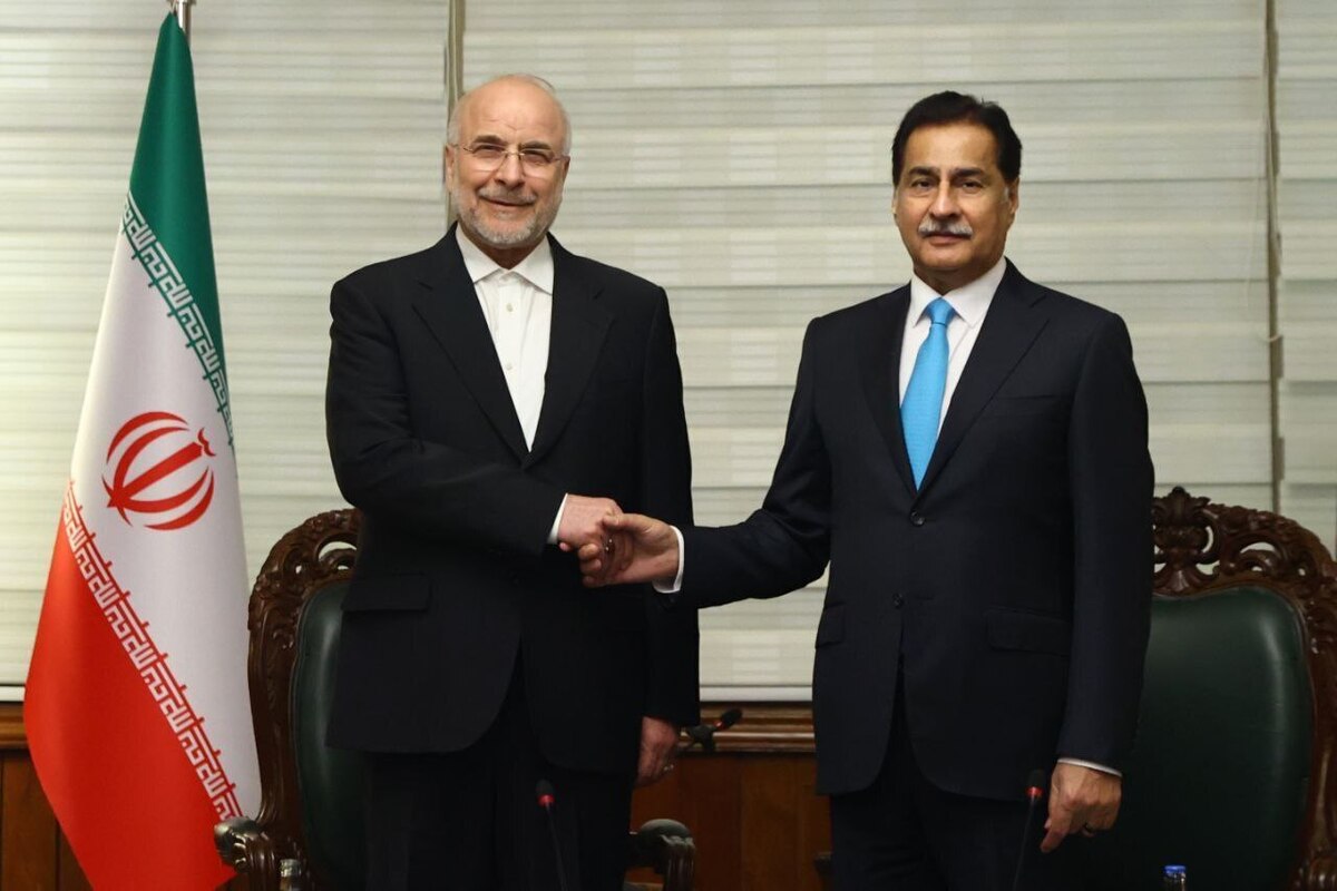 رئیس مجلس در صفحه شخصی خود در فضای مجازی پس از دیدار با رئیس مجلس ملی پاکستان، نوشت: با دعوت ویژه رئیس محترم مجلس ملی پاکستان عازم این کشور شدم؛ تقویت روابط دوجانبه دو کشور برادر به ویژه در حوزه تعاملات اقتصادی و امنیتی مهم‌ترین محور این سفر خواهد بود.