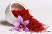 توسعه کشت قراردادی زعفران در همدان
