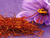 سود طلای سرخ در جیب قاچاقچیان