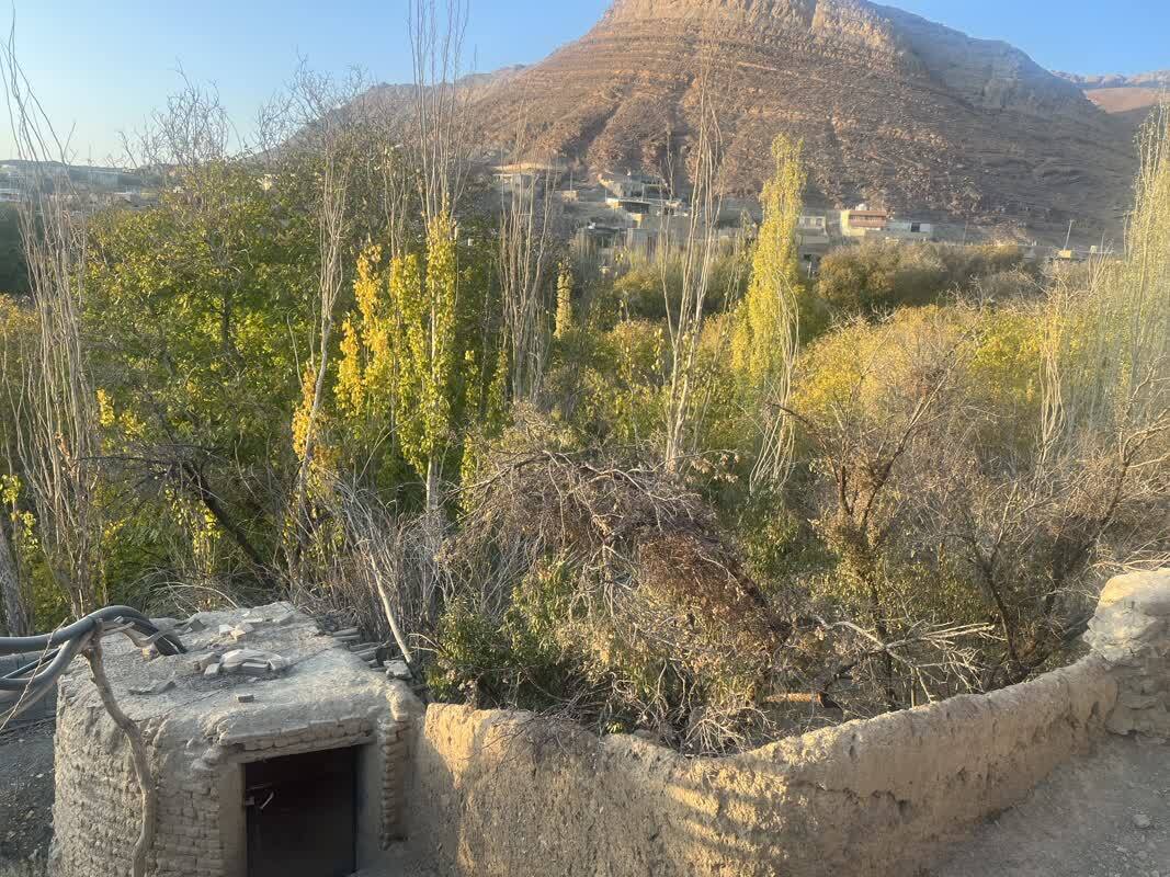 فرصتی برای توسعه اقتصادی و اجتماعی