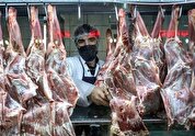 گوشت وارداتی‌ هم دیگر ارزان نیست! 