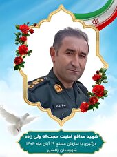 شهادت مامور پلیس در عملیات دستگیری سارقان مسلح