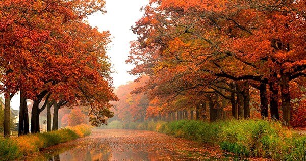 تماشای پاییز در روستاهای تهران