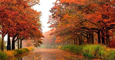 تماشای پاییز در روستاهای تهران