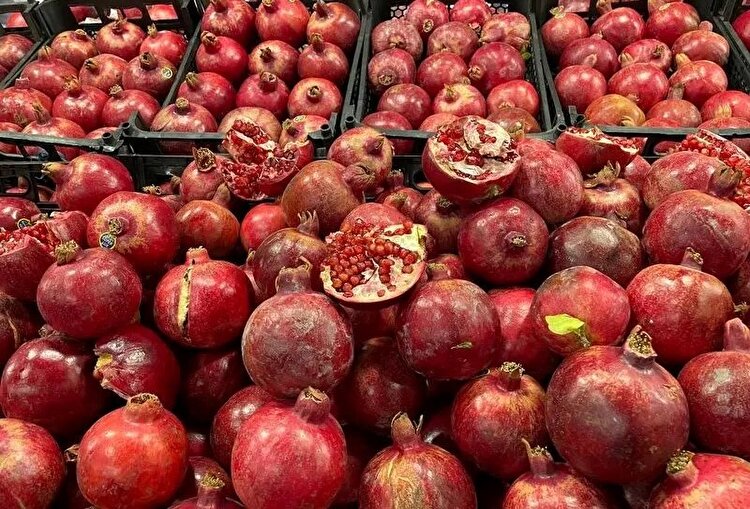 آغاز به‌کار جشنواره ملی انار و خرمالوی شیراز