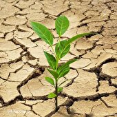 تداوم خشکسالی در چهارمحال و بختیاری؛ صرفه‌جویی ۳۰ درصدی آب ضروری است