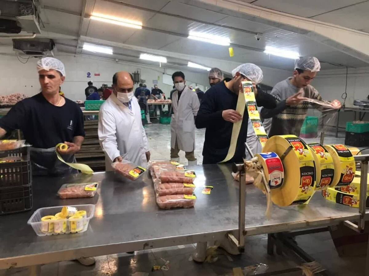 مراکز بسته بندی در کشتارگاه ها به عنوان یکی از مهمترین گلوگاه های کنترل مواد غذایی مطرح می باشد .