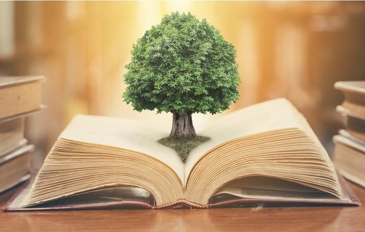 نمی‌دانم آخرین برگی که در دست گرفتم کی بود. شاید آخرین باری بود که بوی کاغذ را استشمام کردم. حالا دیگر کتاب‌ها بوی جوهر و خیال نمی‌دهند. هر صفحه دیجیتال سرد است و نورش از پشت شیشه‌ای بی‌حس می‌تابد. با این حال، من هنوز در کوچه‌های کلمات قدم می‌زدم، میان جمله‌ها گم می‌شدم و خودم را در قالب هر شخصیت جا می‌دادم.