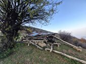 باقری:۵۶ فقره اراضی ملی در سوادکوه شمالی رفع تصرف شد