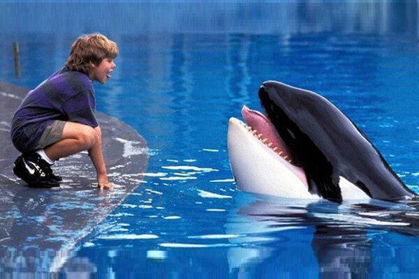 «برادران داسلر» بهدنبال «نهنگ آزاد» تماشایی میشود «برادران داسلر» بهدنبال «نهنگ آزاد» تماشایی میشود