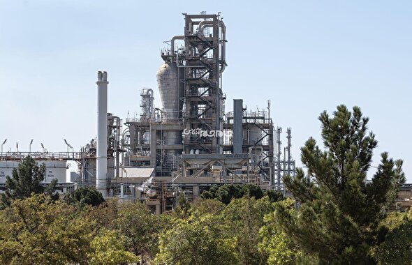 موقعیت رقابتی مستحکم پتروشیمی تبریز در بورس کالا