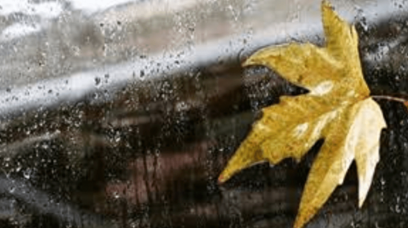 باران امروز به مازندران می‌رسد