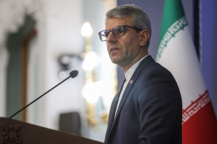 بقائی: تظلّم‌خواهی از عاملان حمله شیمیایی به ایرانیان، مطالبه‌ای ملی، زنده و ادامه‌دار است