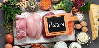 بدن در یک وعده چقدر پروتئین جذب می‌کند؟
