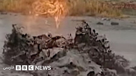 ببینید | گل‌ های آتشین