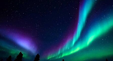 ببینید | چین روشن شد