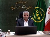 برداشت ۱۲۰ هزار تن انار توسط دست های پر برکت کشاورزان یزدی