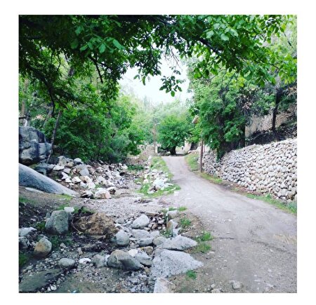 سفر رادیویی به قلب طبیعت یزد | تجربه‌ای شنیدنی از زندگی در طزرجان