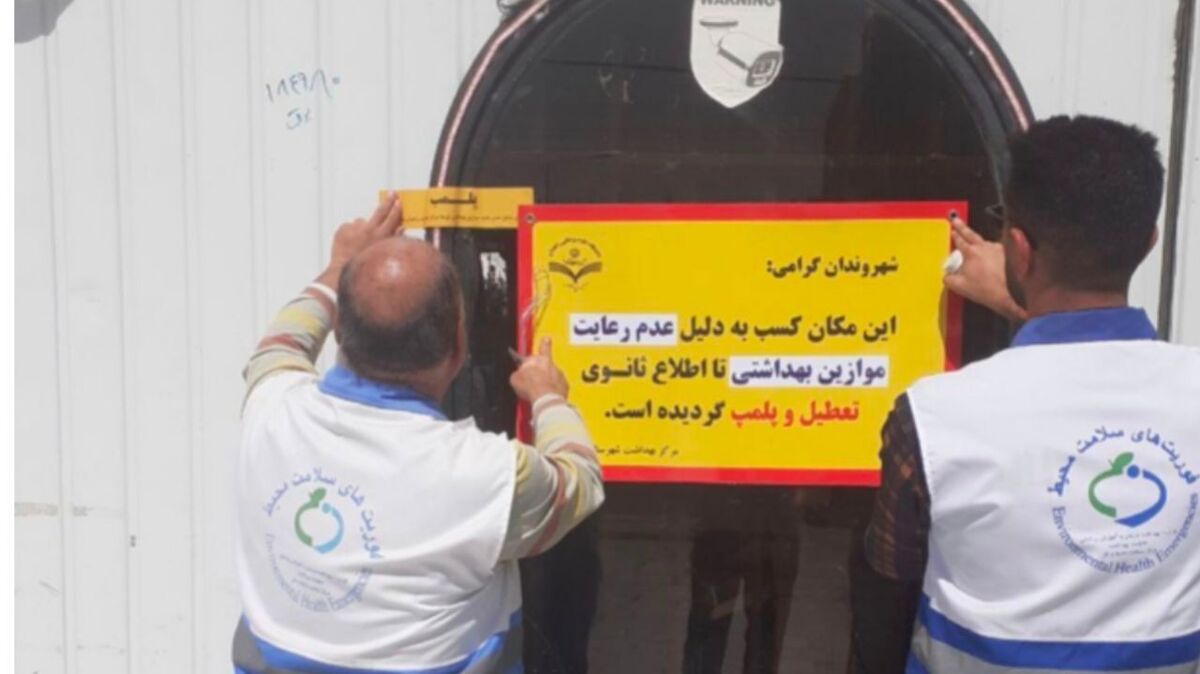 رئیس اتحادیه رستوران و چلوکباب تهران میگوید متخلفان به بهانه عرضه غذای ارزان به مشتری و با هدف سود بیشتر؛ مواد اولیه بیکیفیت و نامرغوب را در تهیه غذا استفاده میکردند.