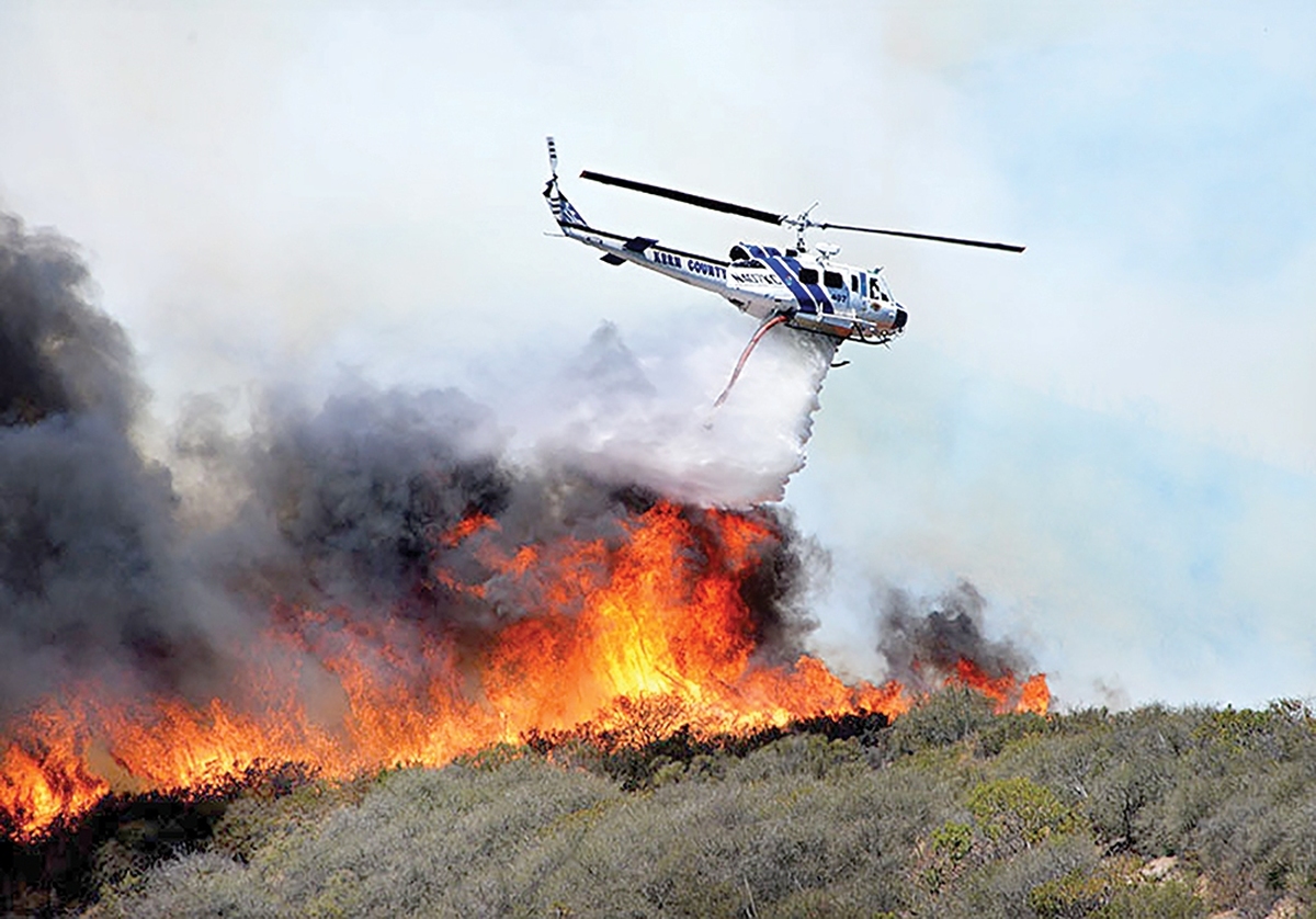 درپی آتش‌سوزی گسترده، جنگل‌های هیرکانی‌ منطقه «الیت» مرزن‌آباد چالوس نزدیک به ۲۰روز است در کام شعله‌ها فرو رفته. آتش‌سوزی که از یازدهم آبان‌‌ آغاز شده، با وجود تلاش‌های بی‌وقفه نیروهای امدادی، به‌دلیل شرایط صعب‌العبور منطقه و وزش بادهای شدید، بارها شعله‌ور شد ومهار آن را با چالش‌های جدی مواجه کرد.