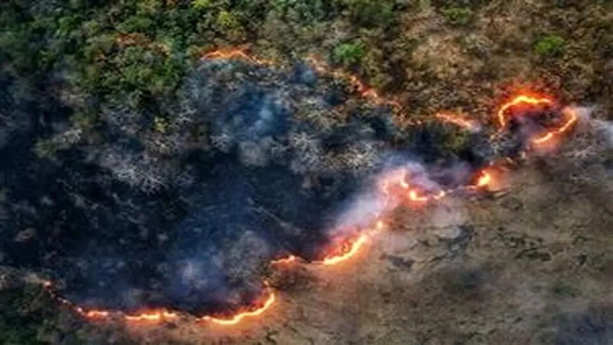 علاوه بر هلال احمر که تاکنون ۳ خودروی نجات و ۳ بالگرد فرستاده، امروز هم دو فروند ایلیوشین نیروی هوافضای سپاه برای مهار آتش به پرواز درآمدند.