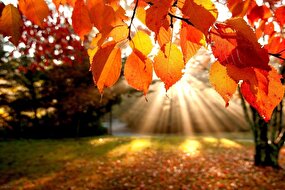 نغمه‌ پاییز در خانه‌