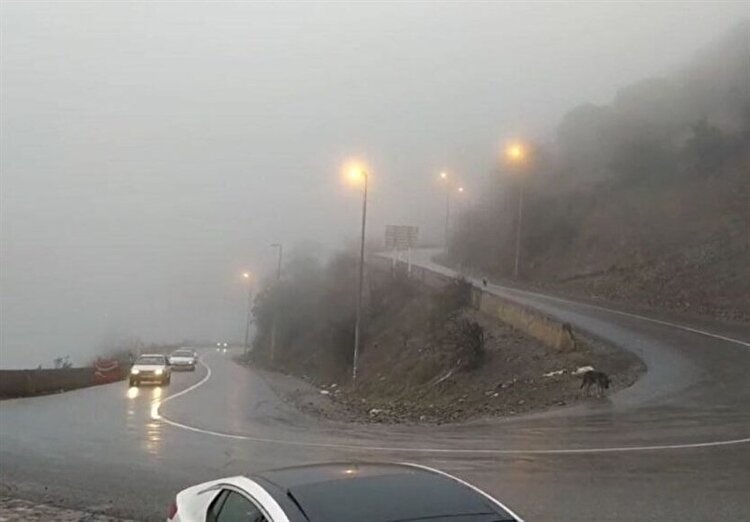 جاده چالوس به مدت ۱۰ روز مسدود می‌شود