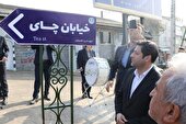 خیابان چای در لاهیجان نامگذاری شد