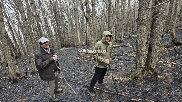همکاری نیروهای مردمی و ارگانهای دولتی در اطفاء حریق جنگل‌های دیزمار