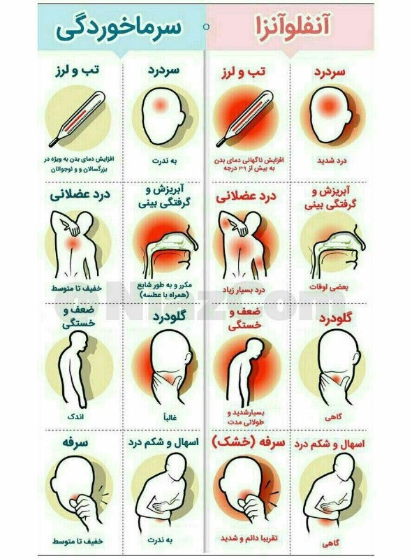 تفاوت آنفلوآنزا با سرماخوردگی و آلرژی