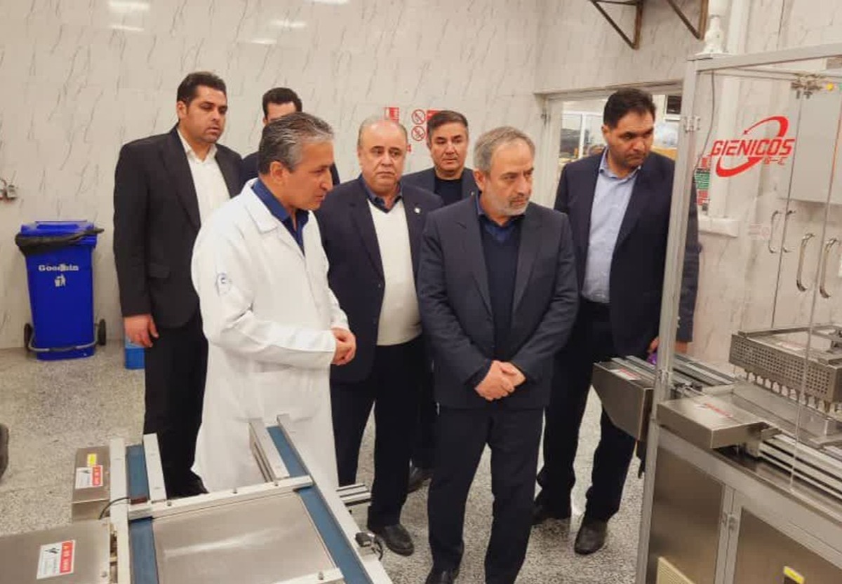 شهرک صنعتی کاسپین یکی از ظرفیت‌های راهبردی استان در مسیر جهش تولید و اشتغال پایدار است و حمایت از واحدهای صنعتی فعال در این مجموعه، در اولویت برنامه‌های اقتصادی استان قرار دارد.