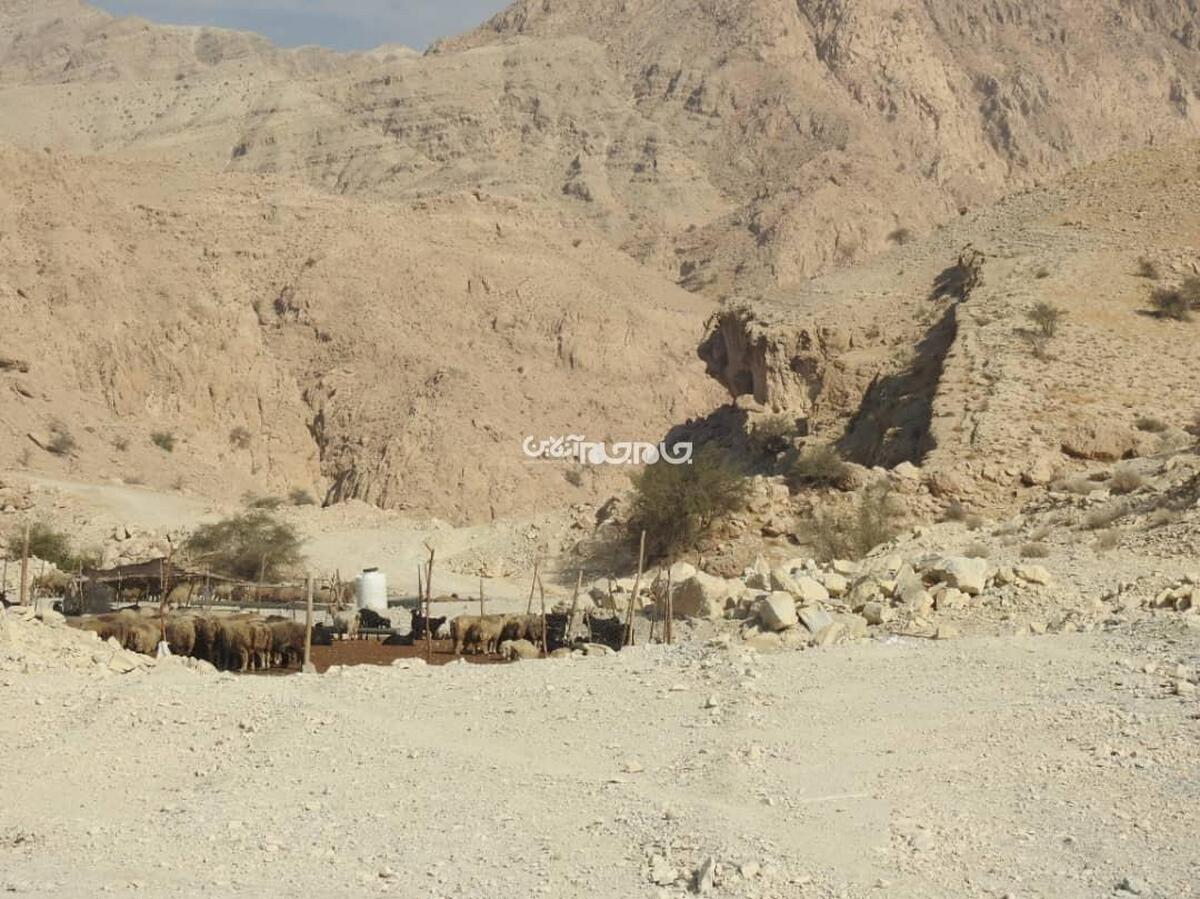 مراتع کوهستانی روستای راهدار که متعلق به دامداران روستا بوده در سال ۱۳۸۰ در اقدامی عجیب توسط اداره منابع طبیعی شهرستان دشتستان، این مراتع را دامداران منطقه گرفته و زیر مجموعه بخش ارم قرار گرفت و پس از آن تمامی کوه راهدار از ۱۰۰ متری کوه، از دسترس مردم و دامداران روستا خارج شده است.