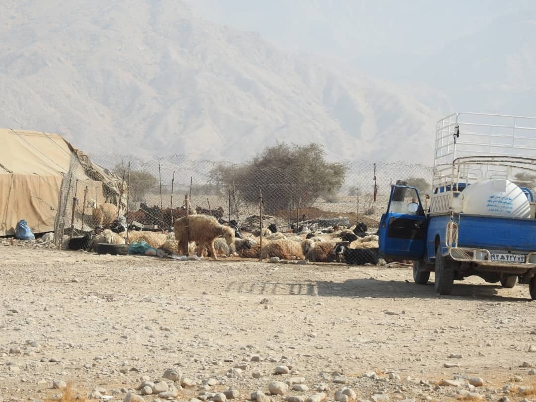 چوب حراج بر سر مراتع راهدار