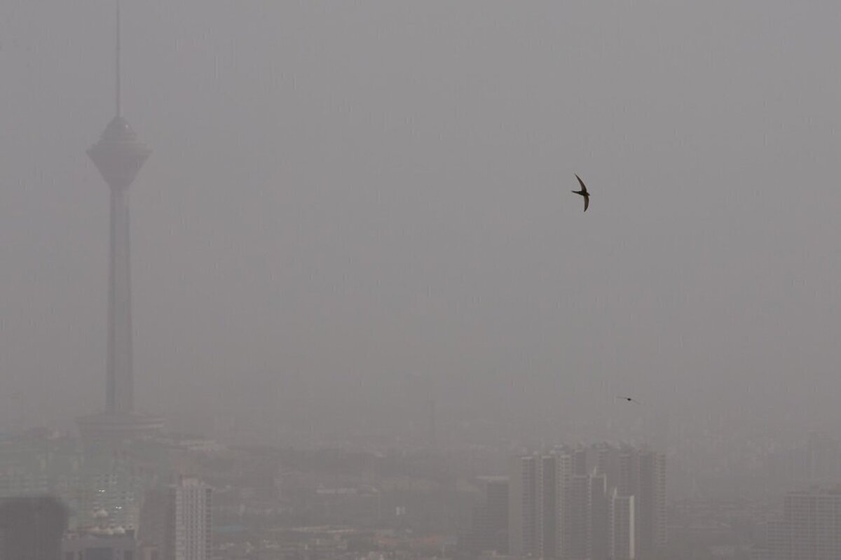 جلسه کارگروه اضطرار آلودگی هوای تهران امروز در استانداری تهران برگزار خواهد شد.