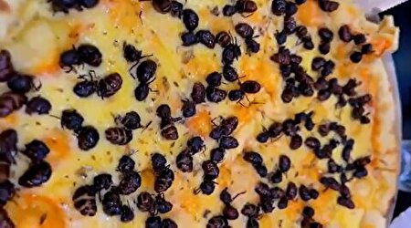 ببینید | پیتزای مورچه!