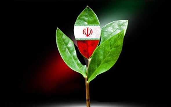 فرصتی برای ارتقای تولیدات ملی