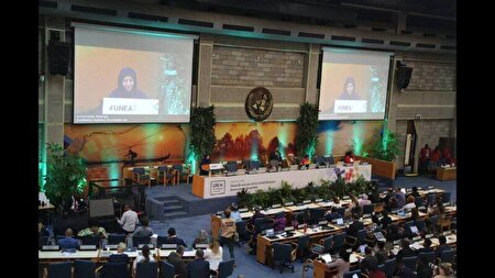 انصاری: حملات اخیر رژیم صهیونیستی محیط‌زیست ایران را با بحران مواجه کرده است