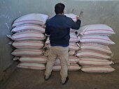 کشف و ضبط ۳۰۳۰ کیلوگرم کود شیمیایی اوره قاچاق در شهرستان ساری