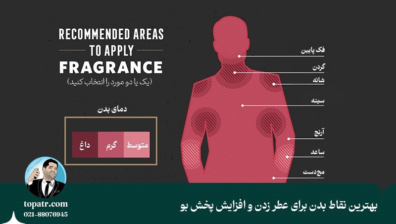 بهترین نقاط بدن برای عطر زدن بهترین نقاط بدن برای عطر زدن