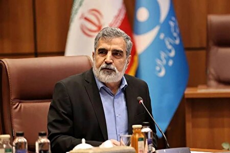 بازرسی‌های اخیر آژانس با اجازه شورای عالی امنیت ملی بوده است