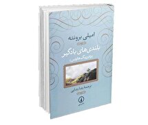 بیانیه انتقام