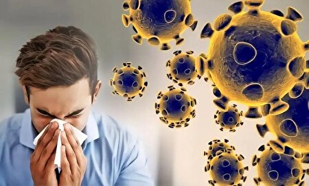 آنفلوآنزا در ۸ استان بالاتر از حد هشدار | ۱۱۵ فوتی از ابتدای موج امسال