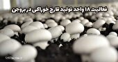 فعالیت ۱۸ واحد تولید قارچ خوراکی در بروجن؛ ظرفیت سالانه بیش از ۱۵۰۰ تن