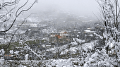 بارش گسترده برف و باران از امروز در مازندران