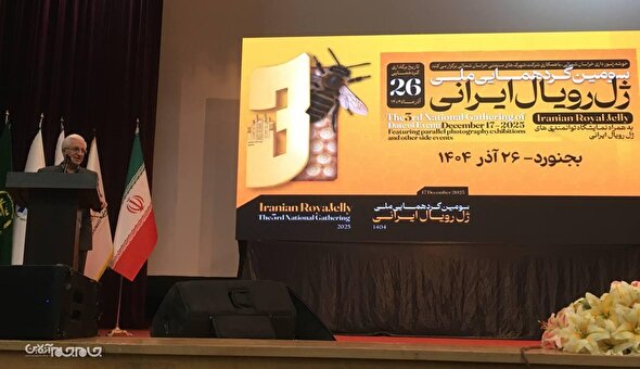 وجود خلا جدی در حوزه زنبور عسل در خراسان شمالی