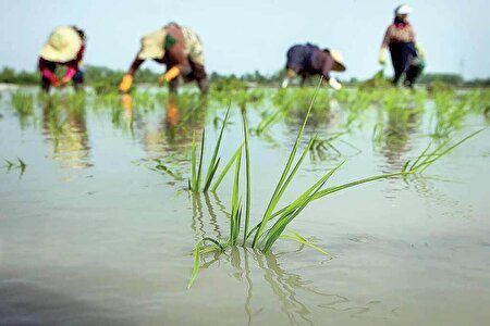بهشت طبیعت ایران