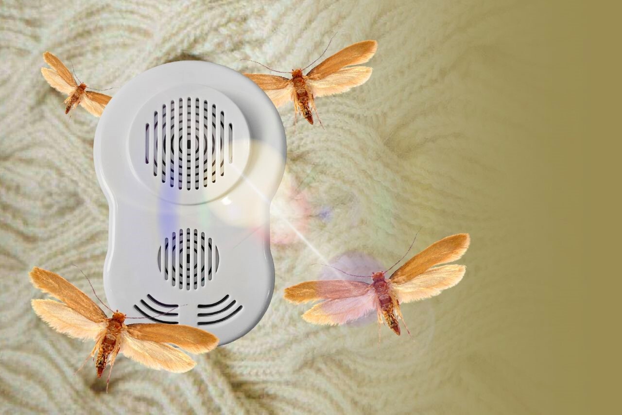 آلرژی به نیش حشرات؛ مشکلی پنهان اما جدی!