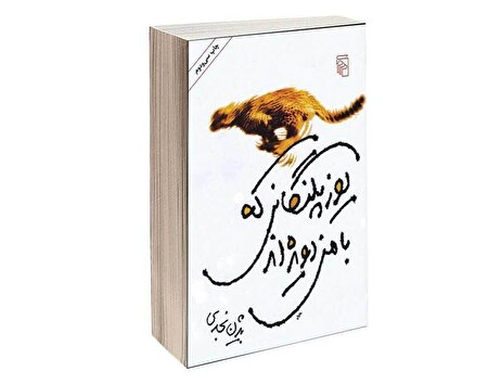 یوزپلنگانی که با من دویده‌اند