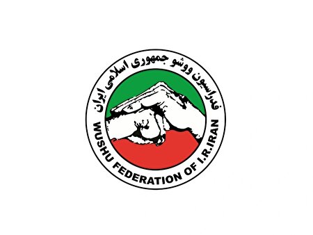 رای کمیته انضباطی فدراسیون ووشو در پرونده‌های خاطیان اعلام شد