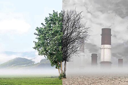 آلاینده‌ها‌، تهدید امنیت غذایی